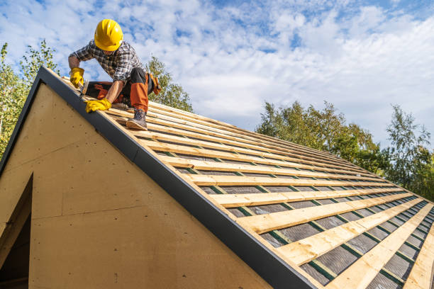 Best Roof Gutter Cleaning  in Walnut Creek, OH