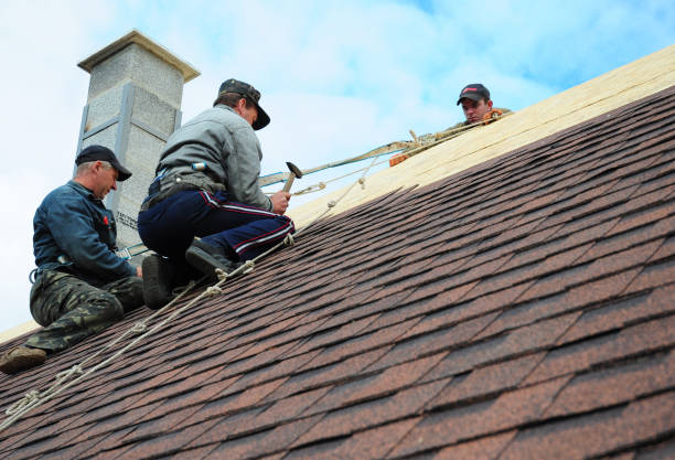 Best Roof Leak Repair  in Walnut Creek, OH